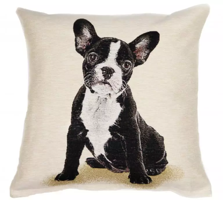 Boston Terrier cushion cover