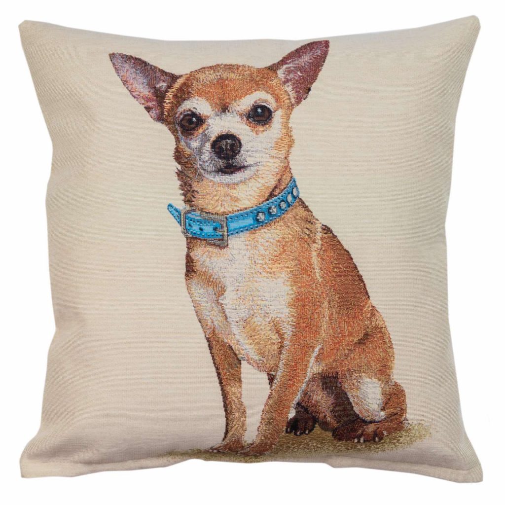 Pagalvės užvalkalas Chihuahua su mėlynu antkakliu, Chihuahua with a blue collar cushion cover