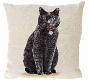 Pagalve su judu katinu, pillow with black cat, uzvalkalas judo kate