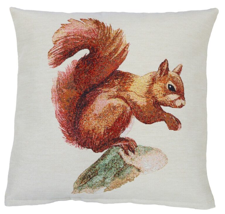Pagalvės užvalkalas su vovere, ruda vovere, dovana su vovere, gift with squirrel, pillow with squirrel, brown squirrel.