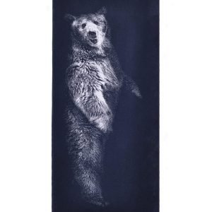 Cotton bath towel Bear