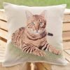 Cushion cover Bengal cat