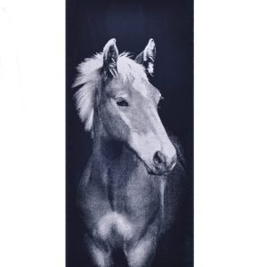 Cotton bath towel Foal