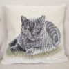 Vienpusis pagalvės užvalkalas Rusų mėlynoji, Cushion cover Russian blue cat