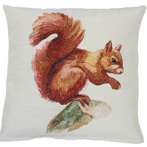 Cushion cover Squirrel