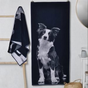 Cotton towel Border Collie