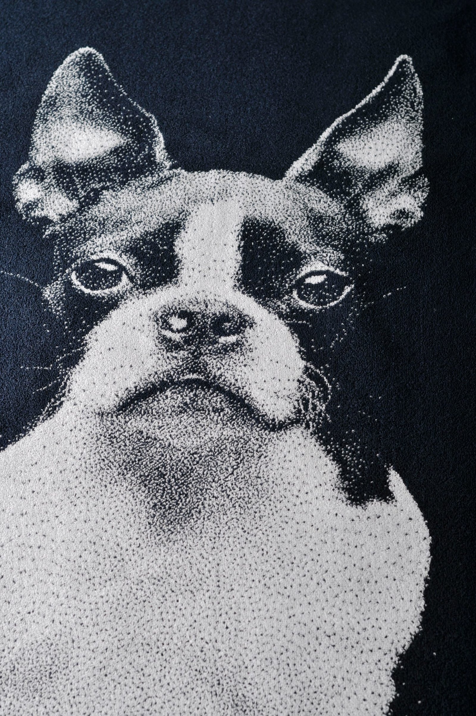 Cotton towel Boston Terrier - Image 2