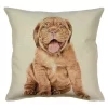 Cushion cover Mastiff