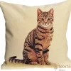 Cushion cover Brown cat