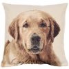 Cushion cover Golden retriever