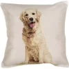 Cushion cover sitting Golden retriever