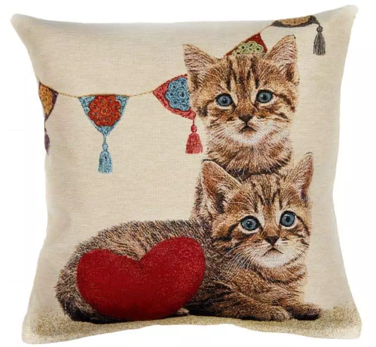 Cushion cover Kittens and a heart