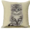 Cushion cover Blue-eyed kitten