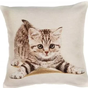 Cushion cover Brown kitten