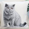 Double-sided cushion cover British shorthair