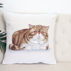Double-sided cushion cover Exotic shorthair
